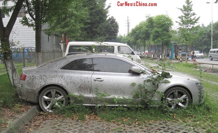 Nature Takes Control Of An Abandoned Audi A5 Coupe In